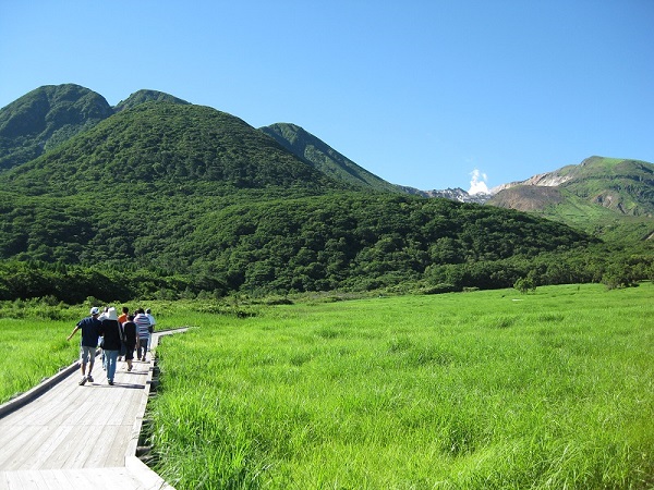 タデ原湿原の画像。湿原には散策路が設備されている。