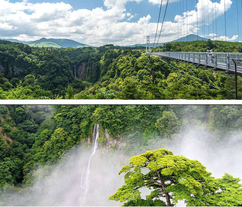 九重夢大吊橋