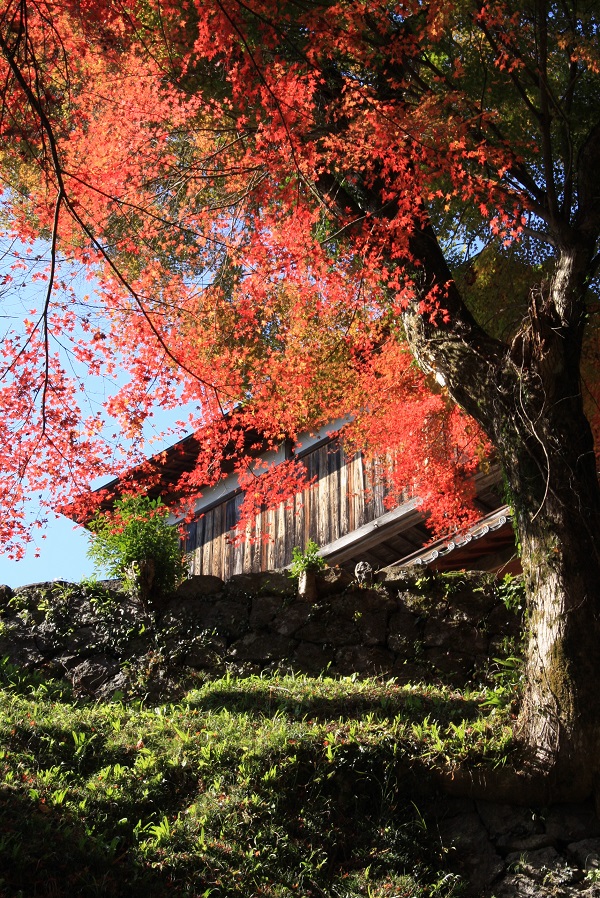 末廣神社・栖鳳楼（せいほうろう）