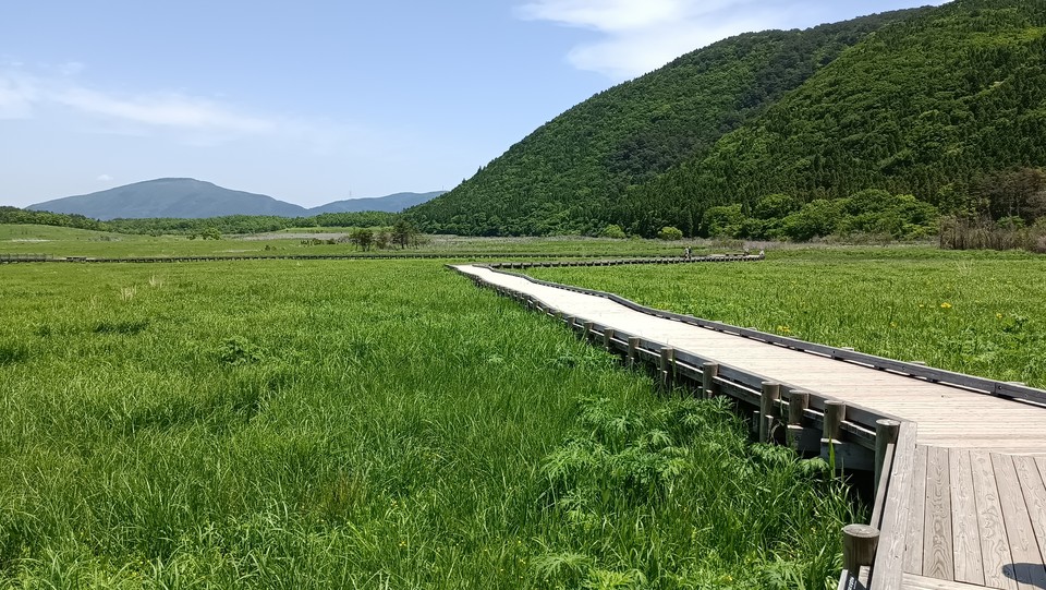 タデ原湿原