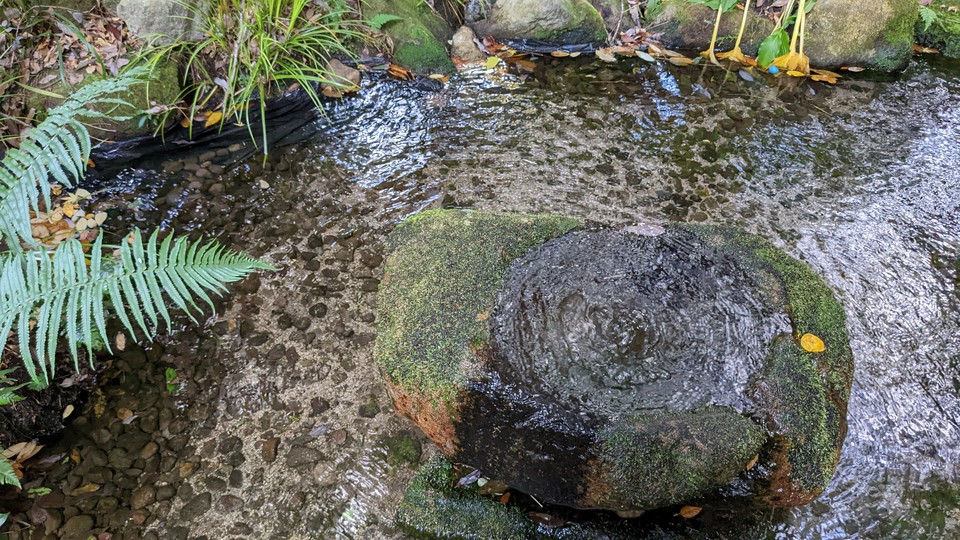 下園妙見様湧水