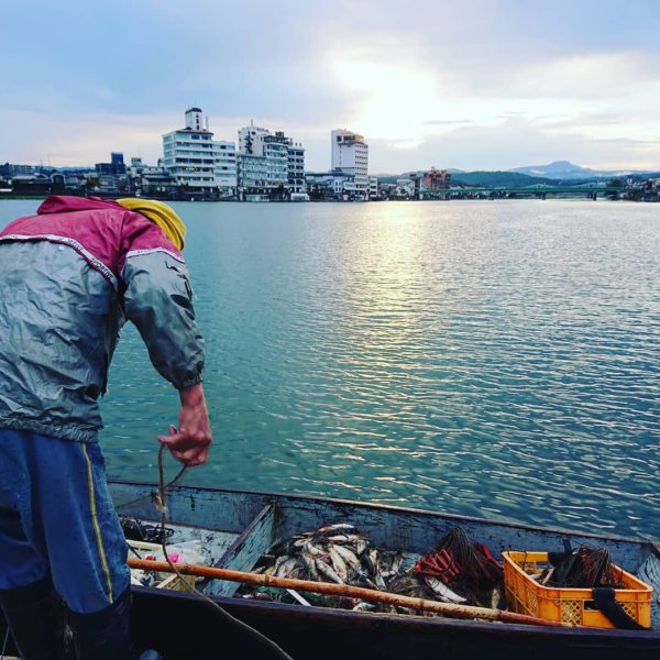 三隈川と鮎漁