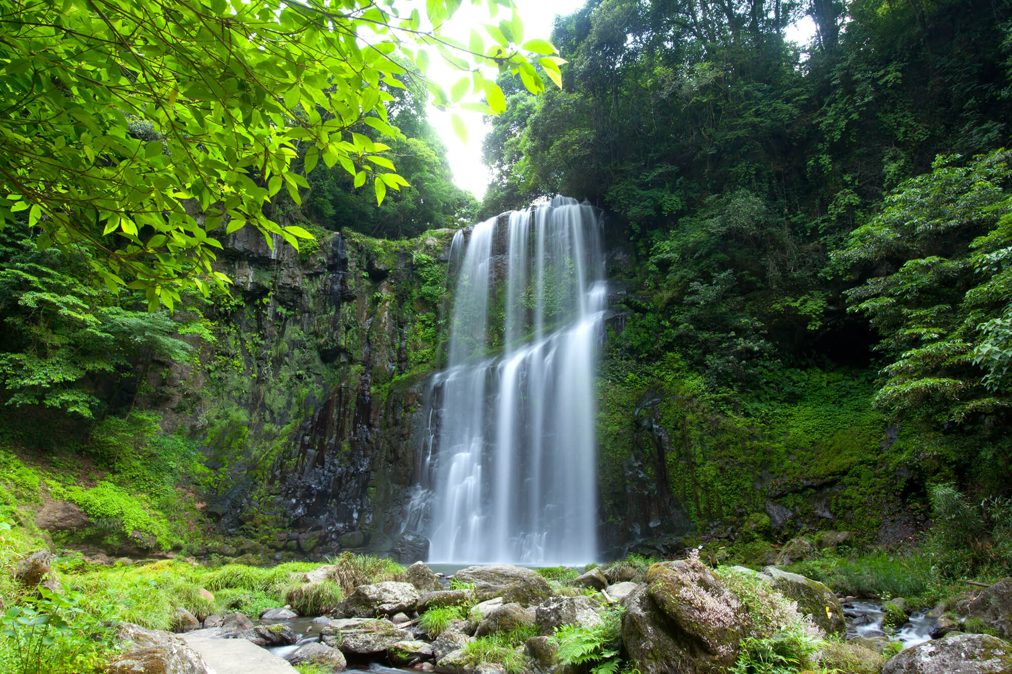 Sakuradaki Falls